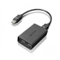 Lenovo DisplayPort to Dual-DisplayPort Monitor Cable USB cable USB A Black