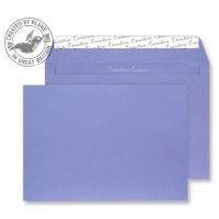 PanzerGlass Â® ClearCaseâ„¢ iPad Pro 11â€³ (2018, 2020-2022, 2024)