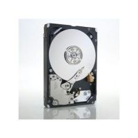 IBM 49Y2078 internal hard drive 2.5" 600 GB SAS