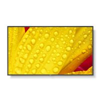55" M-Series Large Format Display, UHD, 500cd/m2, D-LED backlight, 24/7 proof,SDM Slot, CM-Slot