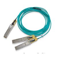 NVIDIA - Splitter zum direkten Anschließen - QSFP56 (M) zu QSFP56 (M) - 30 m