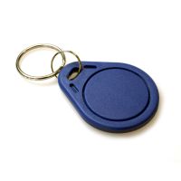 EM Microelectronic EM4200 125KHZ KeyFobs (Pack of 100)