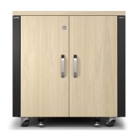 APC NetShelter - Schrank (vertikal) - schallisoliert - AC 100-230 V - Ahorn - 12U - 48.3 cm (19")