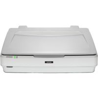 Epson Expression 13000XL Flatbed scanner 2400 x 4800 DPI A3 White