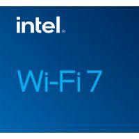 INTEL Netzwerkadapter BE202 Wi-Fi 7 M.2 2230,Bluetooth