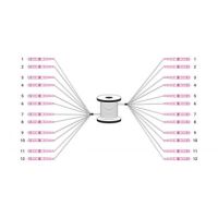 Digitus Pre-assembled Fiberglass Universal Breakout Cable, Multi Mode OM4, 12 Fibers, LC/UPC - LC/UPC