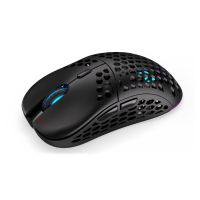 ENDORFY LIX mouse Gaming Ambidextrous RF Wireless + USB Type-C Optical 16000 DPI