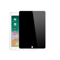 JLC iPad Pro 11 2024 Privacy Tempered Glass