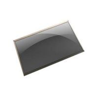 DELL M1WHV notebook spare part Display