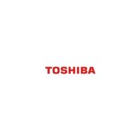 Toshiba *Non Cancellable/Non Returnable (NCNR)* TOUCH PAD