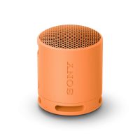 Sony SRS-XB100 - Wireless Bluetooth Portable Speaker, Durable IP67 Waterproof & Dustproof, 16 Hour B