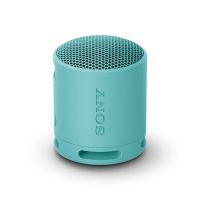 Sony SRS-XB100 - Wireless Bluetooth Portable Speaker, Durable IP67 Waterproof & Dustproof, 16 Hour B