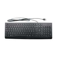 Lenovo Keyboard USB KB BK DEN W/o Mouse - Approx