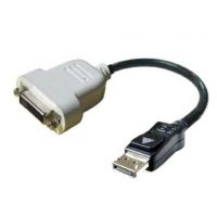 DELL DisplayPort - DVI-D Black,White