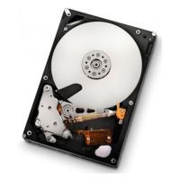 Western Digital Ultrastar A7K2000, 1TB 3.5" 1000 GB Serial ATA