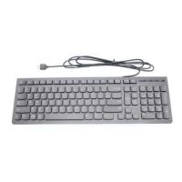 Lenovo 25209119 keyboard USB UK English Black