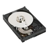 DELL 400-AFYB internal hard drive 3.5" 1000 GB Serial ATA III