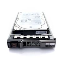 DELL 2TB 7.2K RPM NLSAS 12Gbps