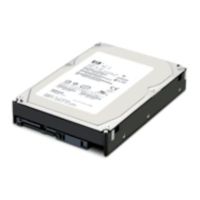 HPE 250gB 7200RPM SATA HD (BARE