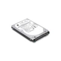 IBM 49Y3727 internal hard drive 3.5" 300 GB