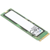 256 GB SSD - intern - M.2 2280 - SATA 6Gb/s