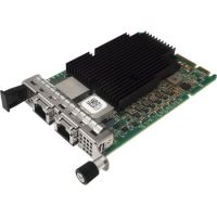 ThinkSystem Marvell QL41132 - Netzwerkadapter