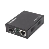 10GBase-T to 10GBase-R Media Converter, 1 x 10 GB SFP+ Slot, 1 x 10GB RJ45 Port