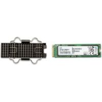 Z Turbo Drive - 256 GB SSD - intern - M.2 - Self-Encrypting Drive (SED)