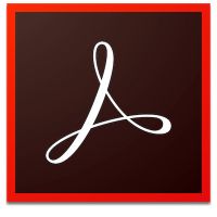 Adobe Acrobat Professional DC Open Value Subscription (OVS) 1 license(s) Multilingual 1 month(s)