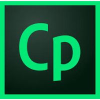 Adobe Captivate Subscription English 12 month(s)