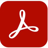 Adobe Acrobat Pro for teams 1 license(s) Optical Character Recognition (OCR) 1 year(s)