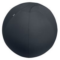 Esselte Ergo Active Sitzball dunkelgrau 55.0 cm