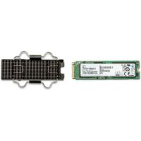 256 GB SSD - intern - M.2 2280 - PCI Express (NVMe)