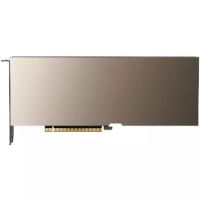 NVIDIA 900-2G133-0020-100 A10 Passive Graphic Card