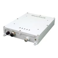 Ruckus E510 Radio module - Wireless access point - 802.11ac Wave 2 - Wi-Fi - Dual Band - DC power / PoE - wall / DIN rail mountable