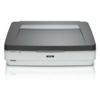 Epson Expression 12000XL Pro Flatbed scanner 2400 x 4800 DPI A3 Grey, White