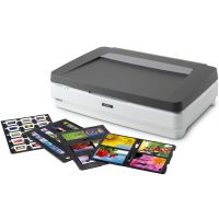 Epson Expression 13000XL Pro Flatbed scanner 2400 x 4800 DPI A3 Grey, White