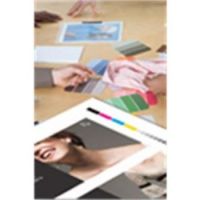 Epson Proofing Paper White Semimatte, 13" x 30,5 m, 250g/m�