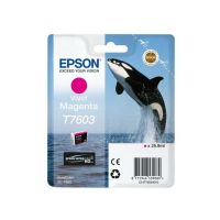 Epson C13T76034N10/T7603 Ink cartridge magenta, 1.4K pages 25.9ml for Epson SC-P 600