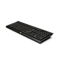 K2500 - Tastatur - kabellos - 2.4 GHz - Slowakisch