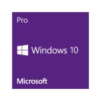 Windows 10 Pro - Lizenz - 1 Lizenz - OEM - DVD