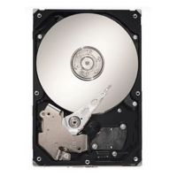 Seagate Harddisk 750 GB SATAll 32MB - Approx 1-3 working day lead.