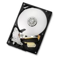 HGST Deskstar 7K1000.C 3.5" 500 GB Serial ATA II