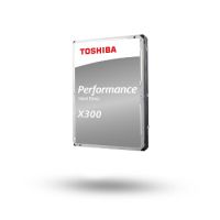 X300 Performance - Festplatte - 12 TB - intern - 3.5" (8.9 cm)