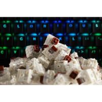 Glorious PC Gaming Race KAI-BROWN input device accessory Keyboard switches