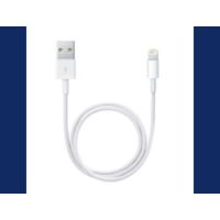 Apple Lightning / USB USB cable 0.5 m 2.0 USB A White