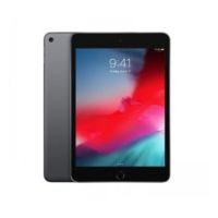 iPad mini Wi-Fi 256GB - Space Grey