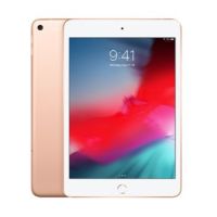 iPad mini 5 Wi-Fi + Cellular - 5. Generation - Tablet - 64 GB - 20.1 cm (7.9")