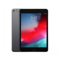 iPad mini Wi-Fi + Cellular 256GB - Space Grey