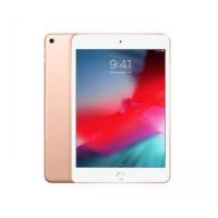 iPad mini Wi-Fi + Cellular 256GB - Gold